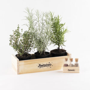 Kit para armar una huerta urbana